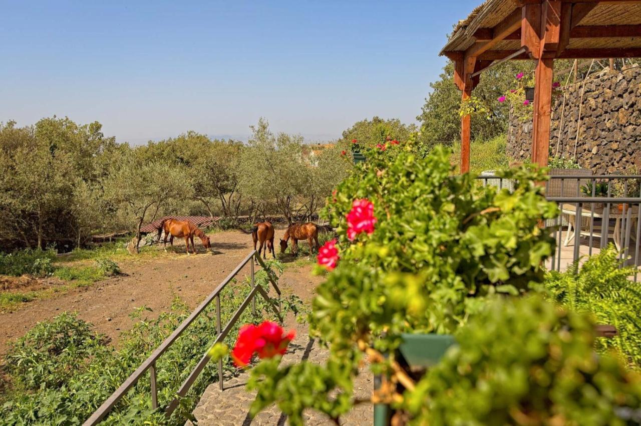 Horse House Appartement Ragalna Buitenkant foto